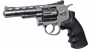 Dan Wesson 4" Silver Low