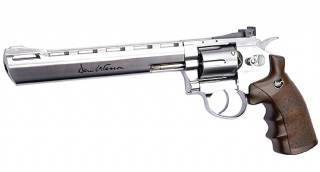 Dan Wesson 8" Silver Low