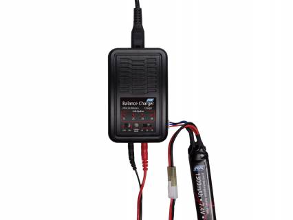ASG Auto-stop Lipo/Life Charger