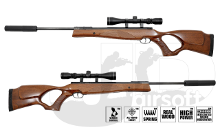 Remington Sabre TH .22 Air Rifle /w Scope & Moderator