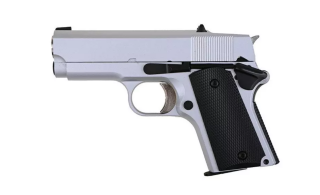 Army Armament 1911 R45A1 / Silver