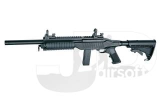 ASG 10/22 Special Teams Carbine