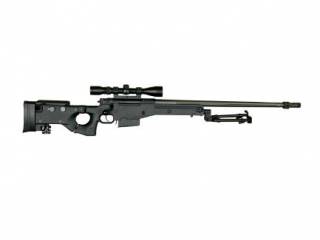 ASG AW.338 Sniper (Proline)