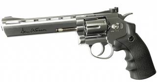Dan Wesson 6" Silver Low