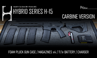 ASG H-15 Package Deal / Carbine